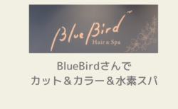 グレイヘアが気になり「Blue Bird」でカット＆カラー＆水素スパ